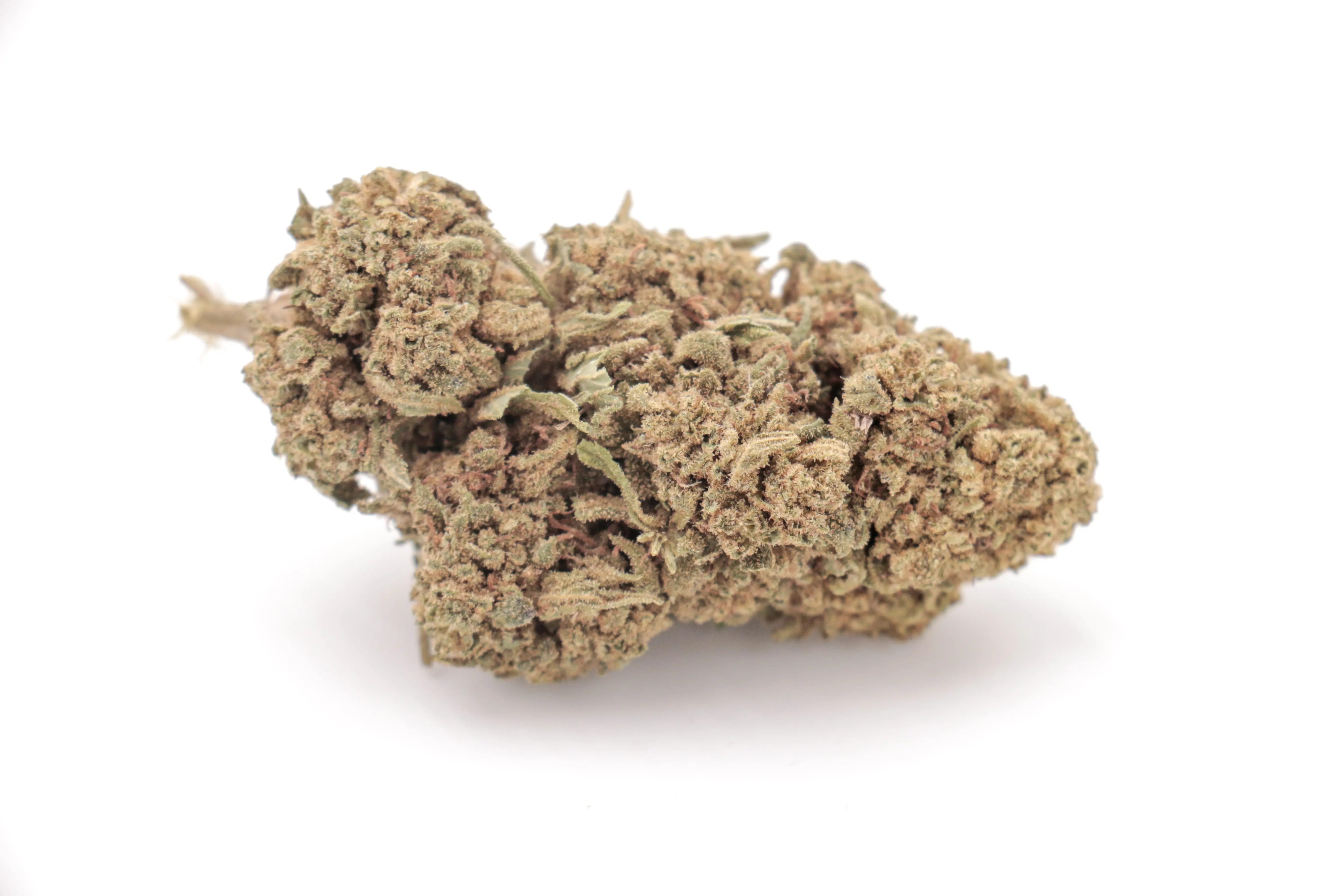 cbd flower moby dick
